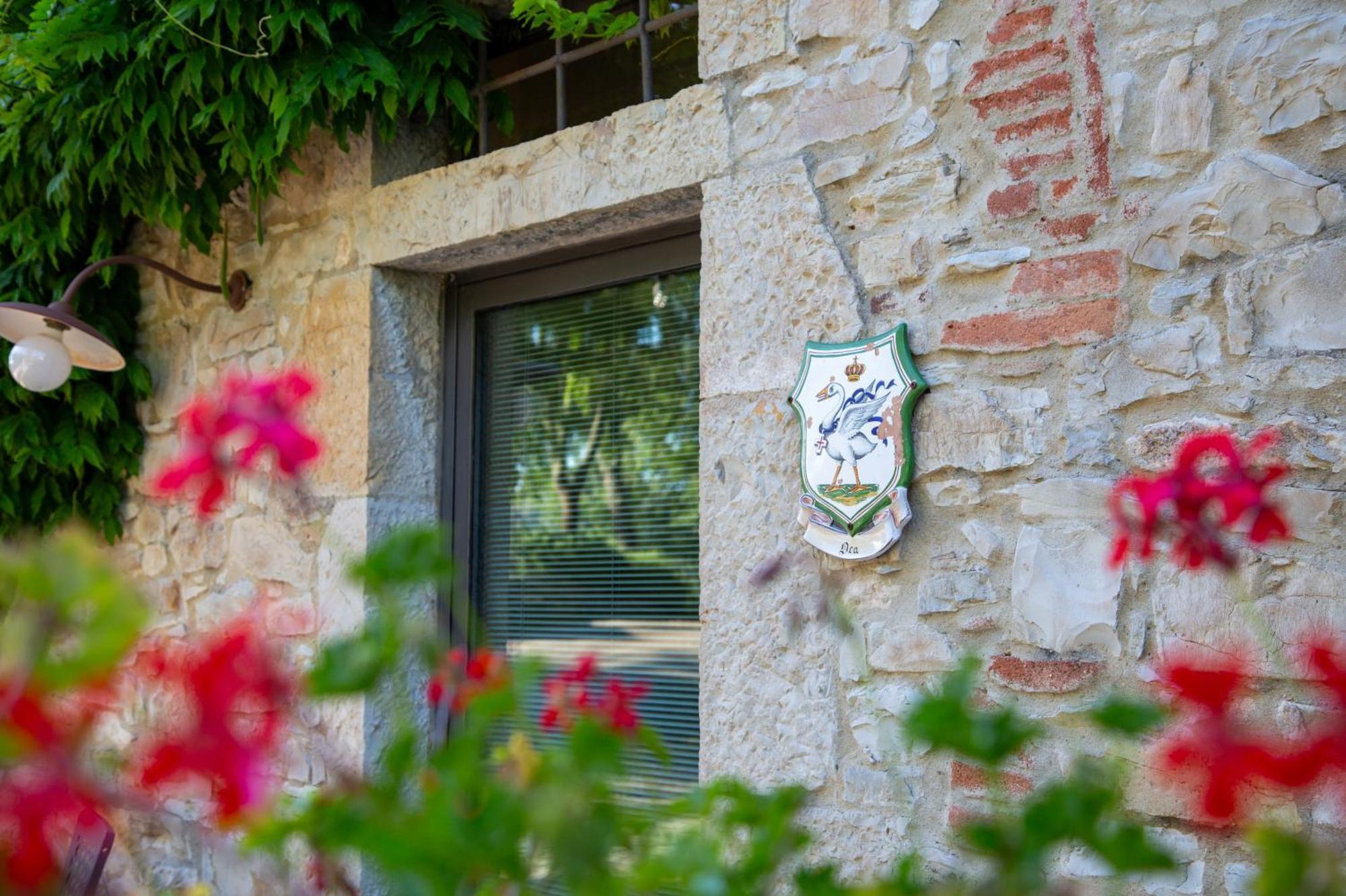 Colombaio Di Cencio Daire Gaiole in Chianti Dış mekan fotoğraf