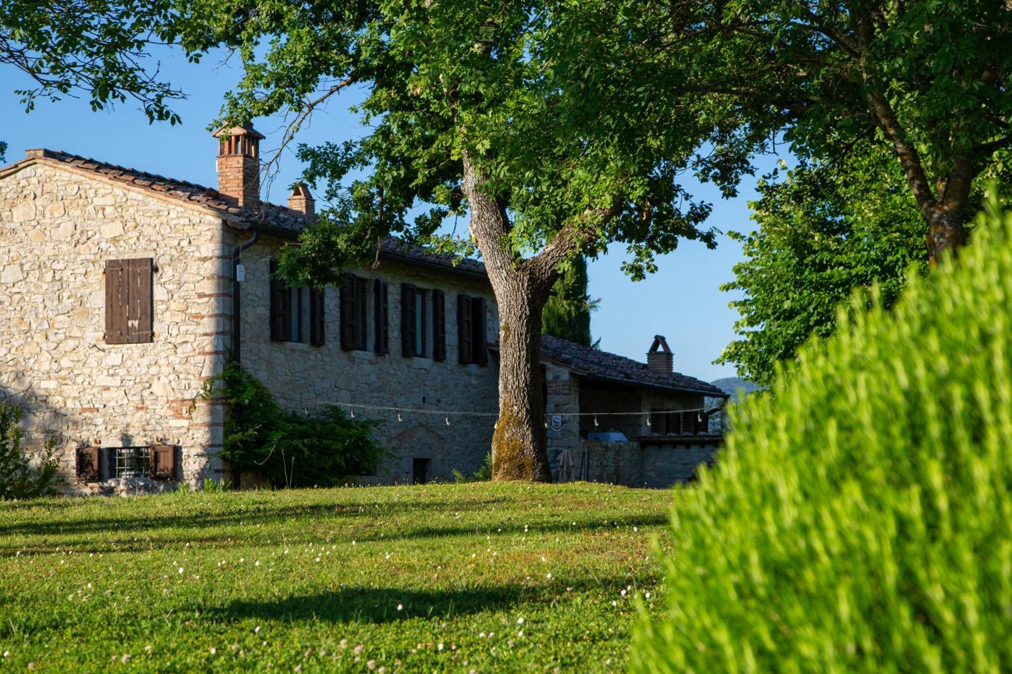 Colombaio Di Cencio Daire Gaiole in Chianti Dış mekan fotoğraf